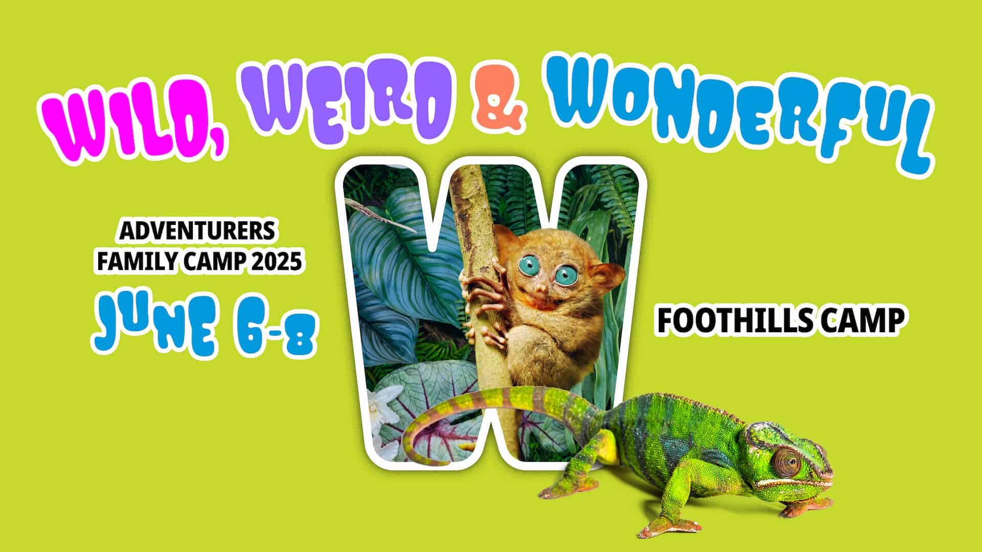 Wild, Weird & Wonderful Adventurers Family Camp 2025